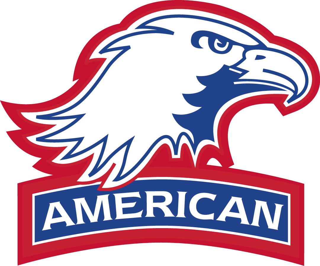American Eagles 2010-Pres Secondary Logo diy fabric transfer